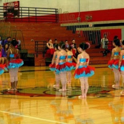 South Texas Strutters