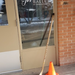 Youth Ballet of Saskatchewan