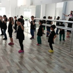 M.E.B Özel Zeybek Sanat Akademisi