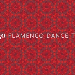 Zorongo Flamenco Dance Theatre and School