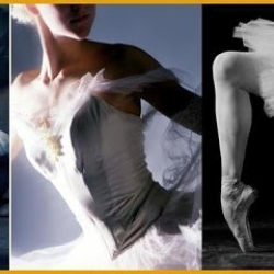 Prima Dance Warehouse