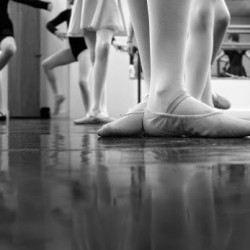 Dancia International