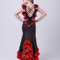 DanceWearChampions best dancewear Gymnastics & Ballet,Ballroom/Latin/Competition Dresses in GTA