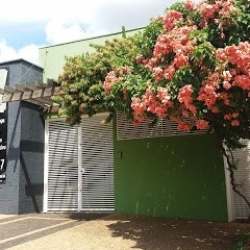 Ateliê Movimento e Expressão