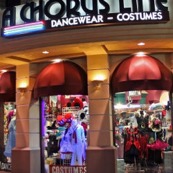 A Chorus Line Dancewear & Costumes