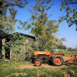 Scuola di Danza Ballet