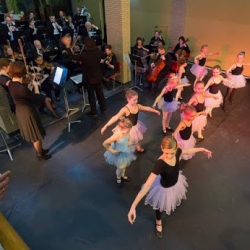 Ballet Studio Violetta