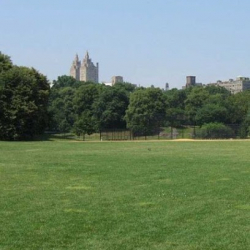 Ballet School Rebmann Oehl