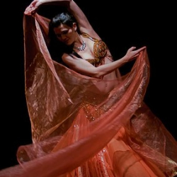 Bauchtanzschule Arabesque