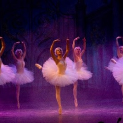 Bayview School Of Ballet