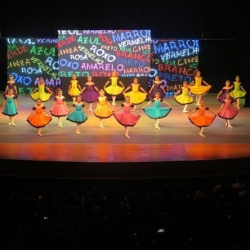 Studium Carla Petroni