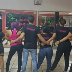 CLASES DE BAILE A DOMICILIO (Studio Dance Evolution)