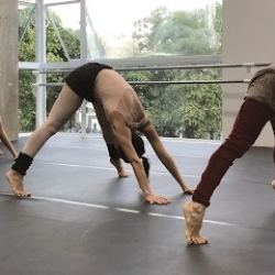 Centro de Movimento Deborah Colker (Gávea)